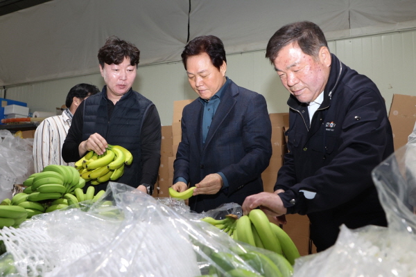 ﻿박완수 도지사가 27일 청년농업인이 운영하는 산청군 '올 바나나'를 방문해 생산된 바나나를 둘러보고 있다.